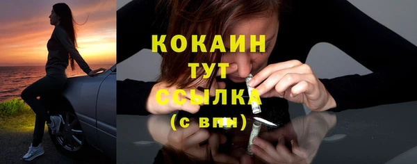 гидра Переславль-Залесский