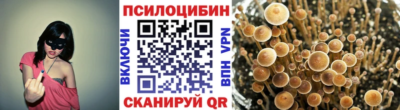 Галлюциногенные грибы Magic Shrooms  Павловская 